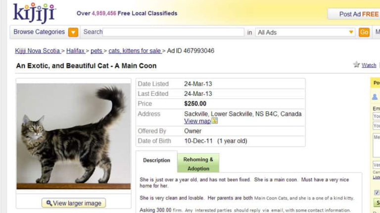 Old Kijiji View Item Page
